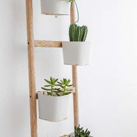 アパート Le Family Palms My